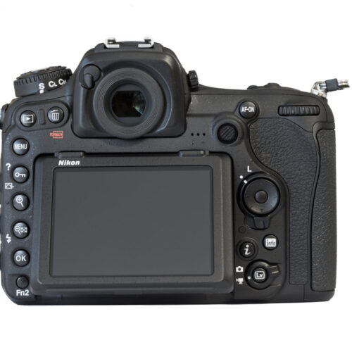 Nikon D500
